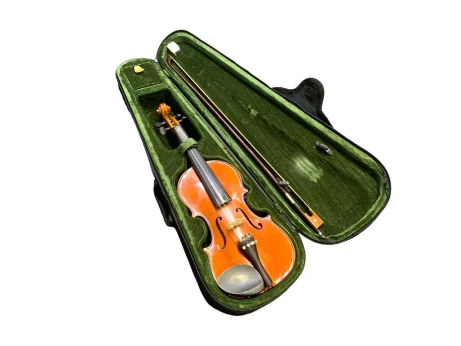 violina s gudalom / r1, rate! - slika 2