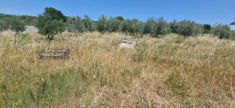 zadar, briševo, građevinsko zemljište (1108m2) - slika 1