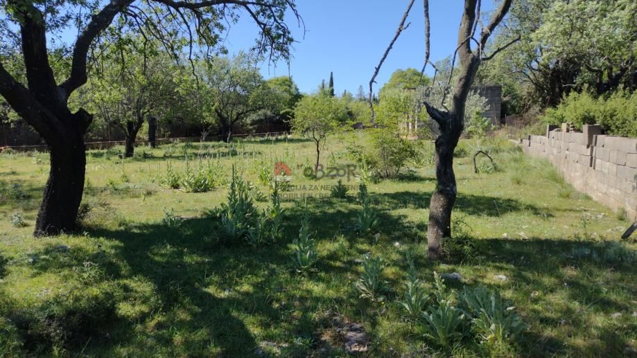 donja jagodnja - građevinsko zemljište 3021m2 - slika 5