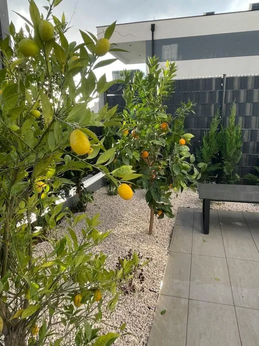 jednosoban stan s terasom i vrtom kaštel stari, 40.00 m2, novogradnja - slika 7