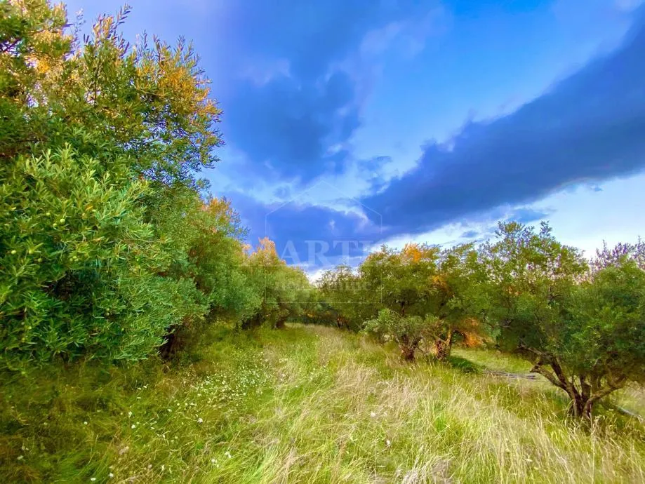 prilika! građ. zemljište, istra-draguć, 2257m2 - slika 5