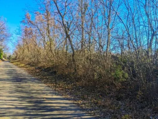 istra, labin, poljoprivredno zemljište 7377 m2 - slika 3
