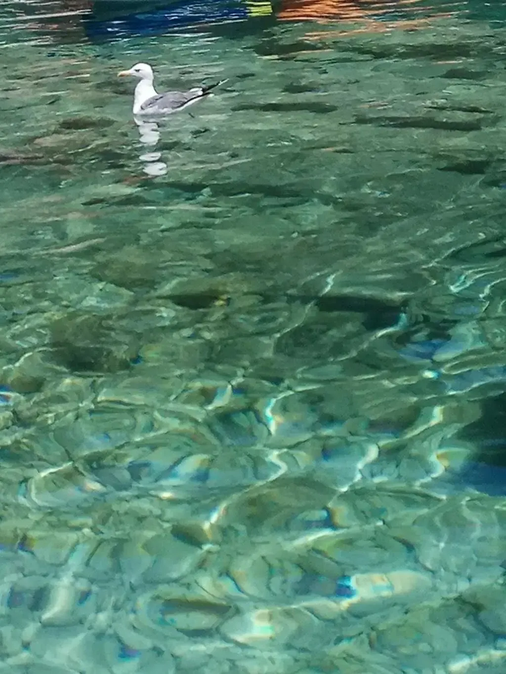 robinzonski turizam šime - slika 16
