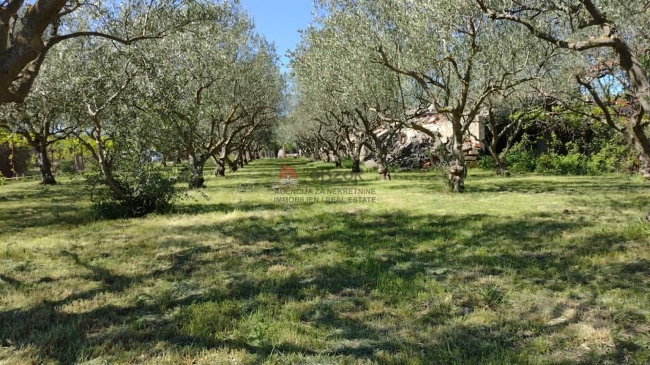 DONJA JAGODNJA - Građevinsko zemljište 3021m2 - Donja Jagodnja, Polača