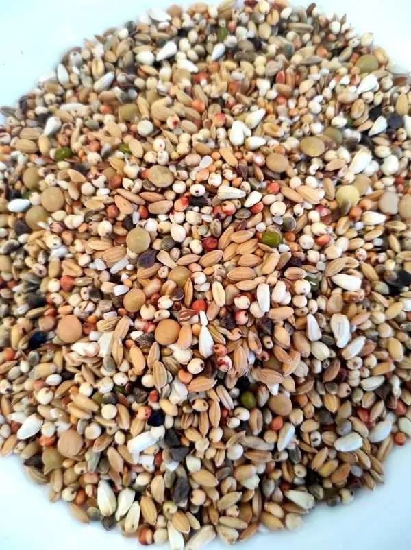 DIET EXTRA 20kg BR.26 - Đakovo