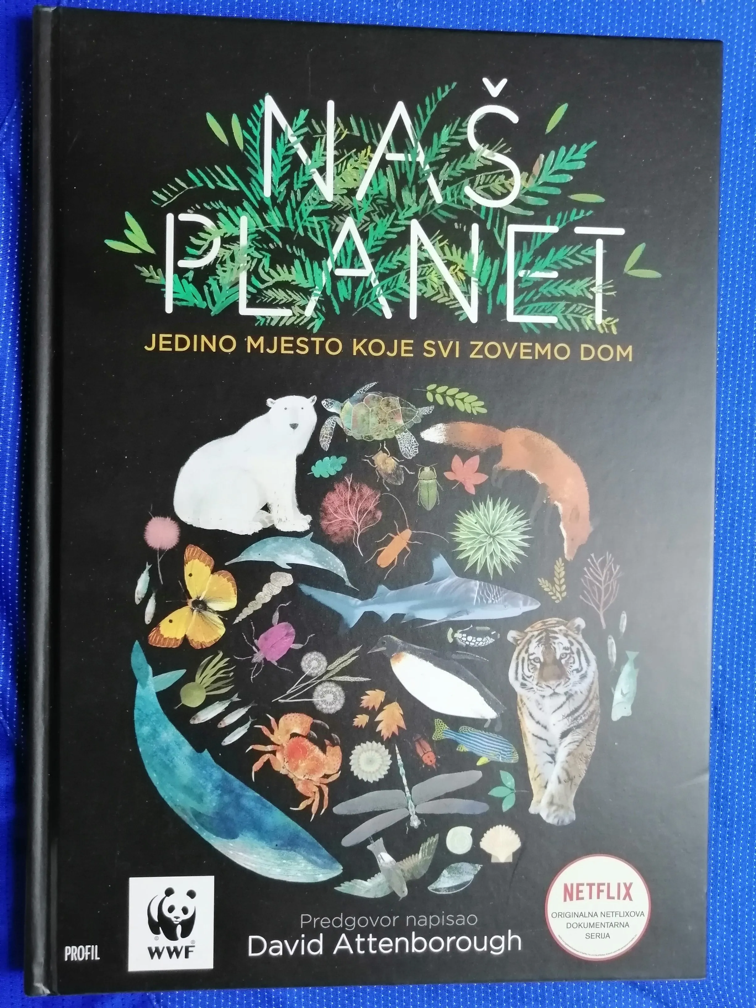 Matt Whyman – Naš planet (Y2) - Zagreb