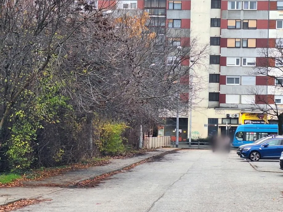 zagreb, centar dubrave, avenija dubrava, 2430 m2 građevinsko zemljište - slika 2