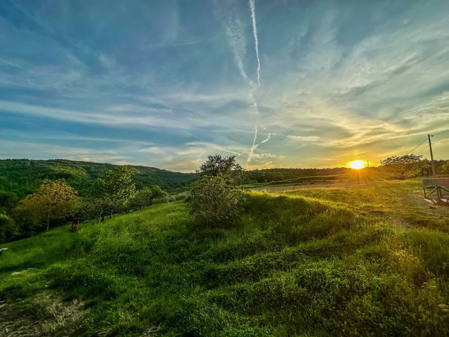 istra-malo selo s nagrađivanim vinom i maslinovim uljem (prodaja) - slika 19