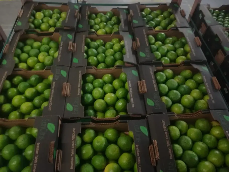 Limeta za koktele - Donja Bistra, Bistra
