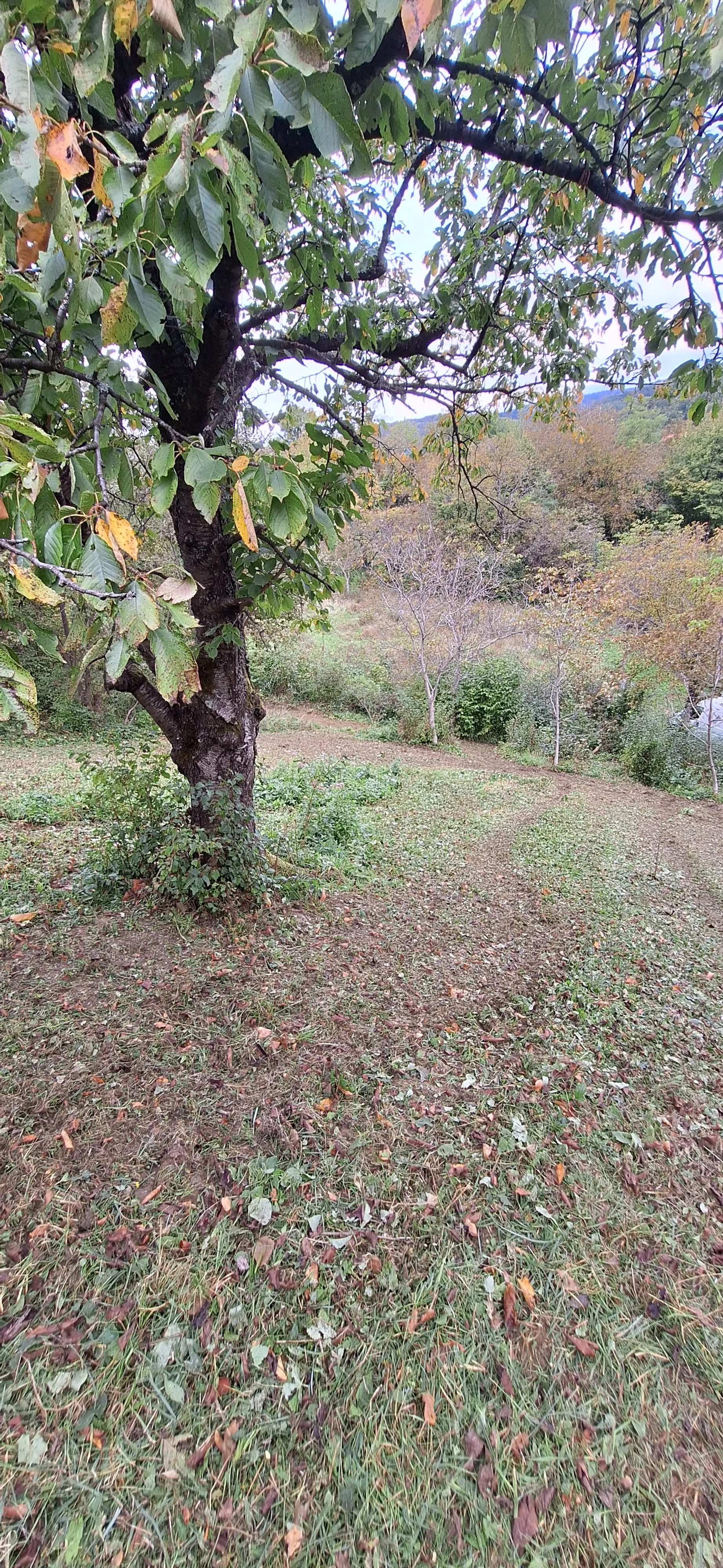 gradilište-voćnjak 1119 m2 markuševec****prodaja-zamjena**** - slika 10