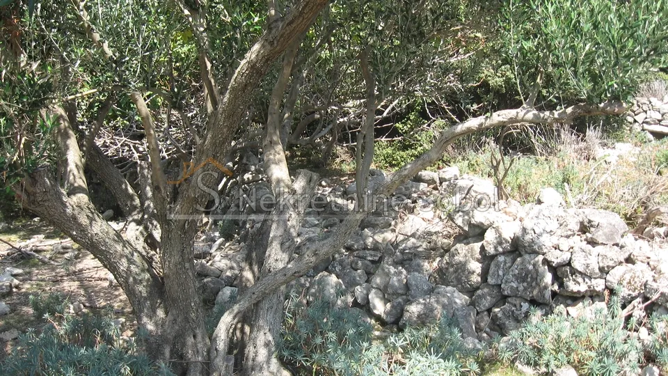 ustrine, otok cres - kuća (ruševina), 92 m2 prodaja - slika 10