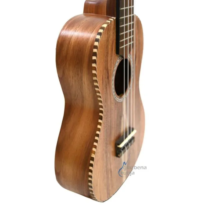 apc ct concerto ukulele - slika 5