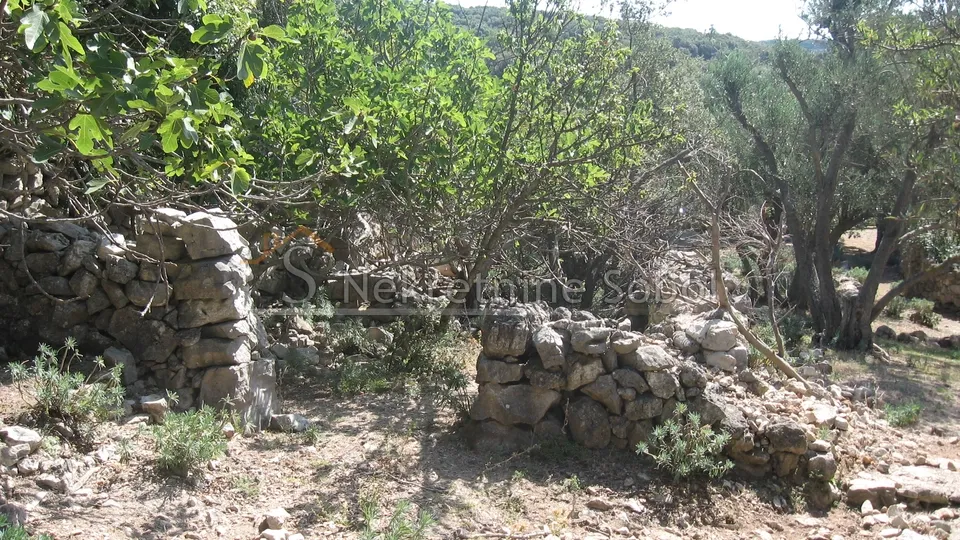 ustrine, otok cres - kuća (ruševina), 92 m2 prodaja - slika 4