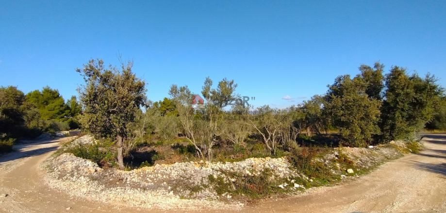pašman-ždrelac, građevinsko zemljište 933m2 - slika 3