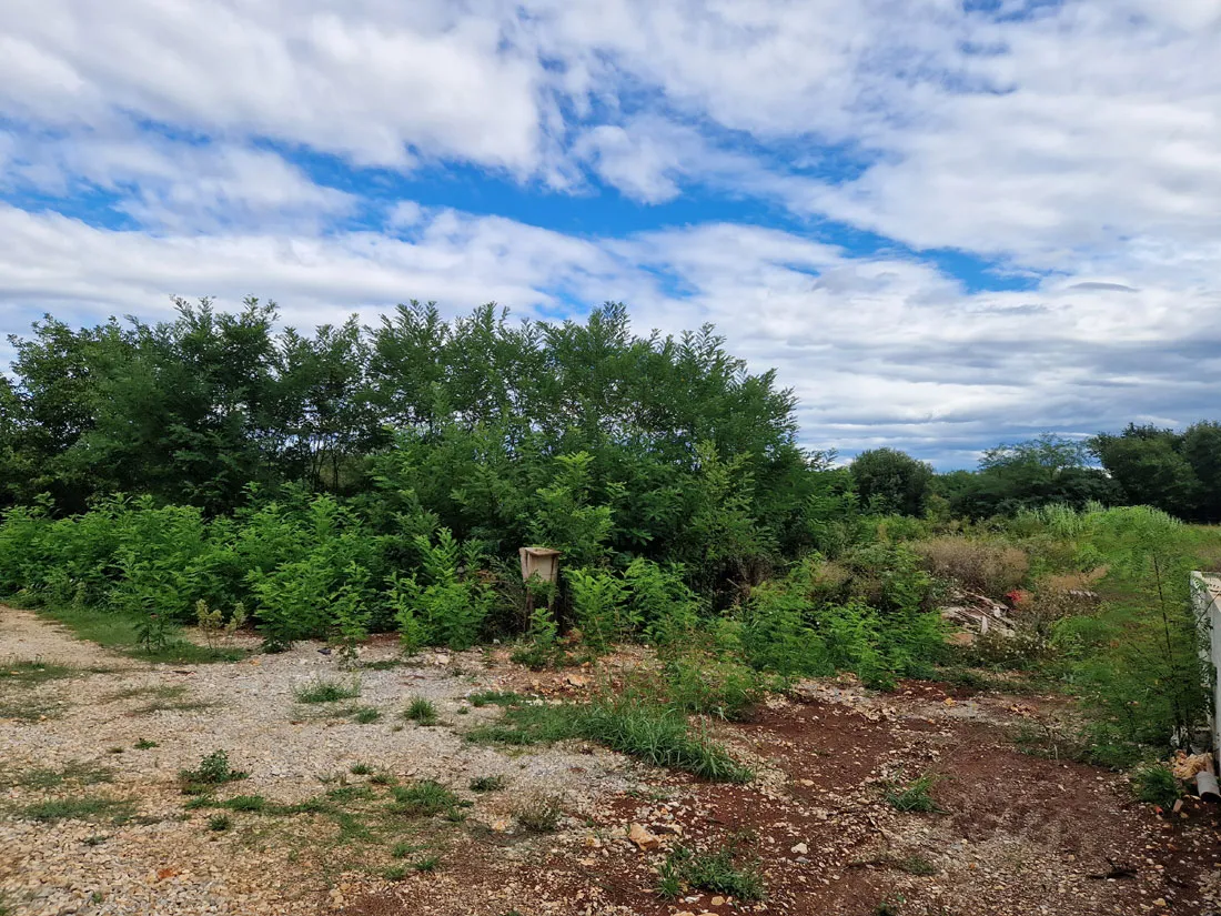 Prodaja, Građevinsko zemljište, Višnjan okolica, 582 m², Z-659