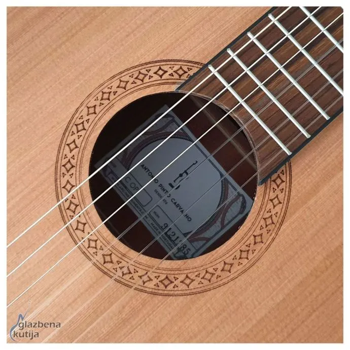 apc 1c op klasična gitara - slika 4