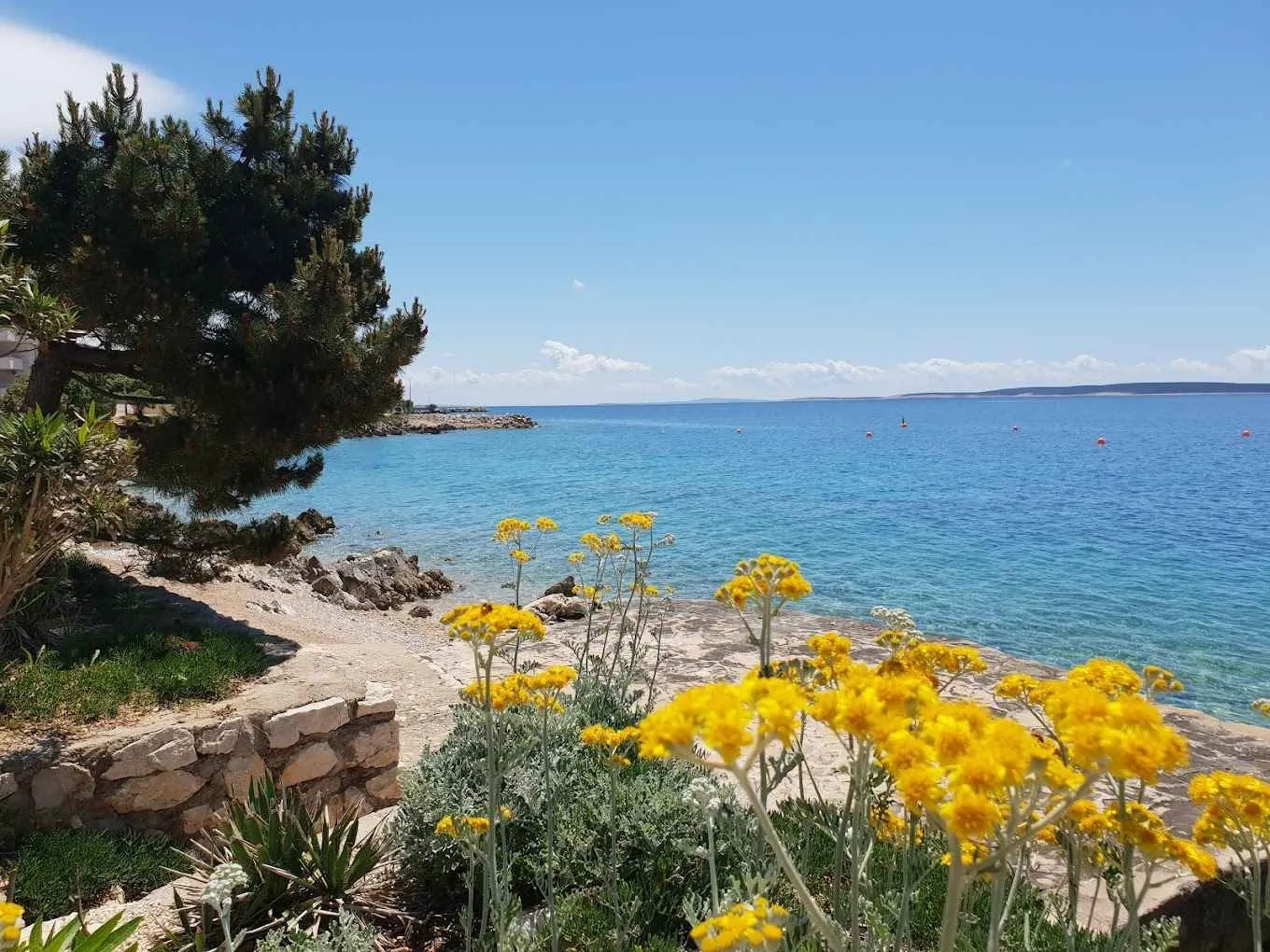 apartmani stargo - slika 19