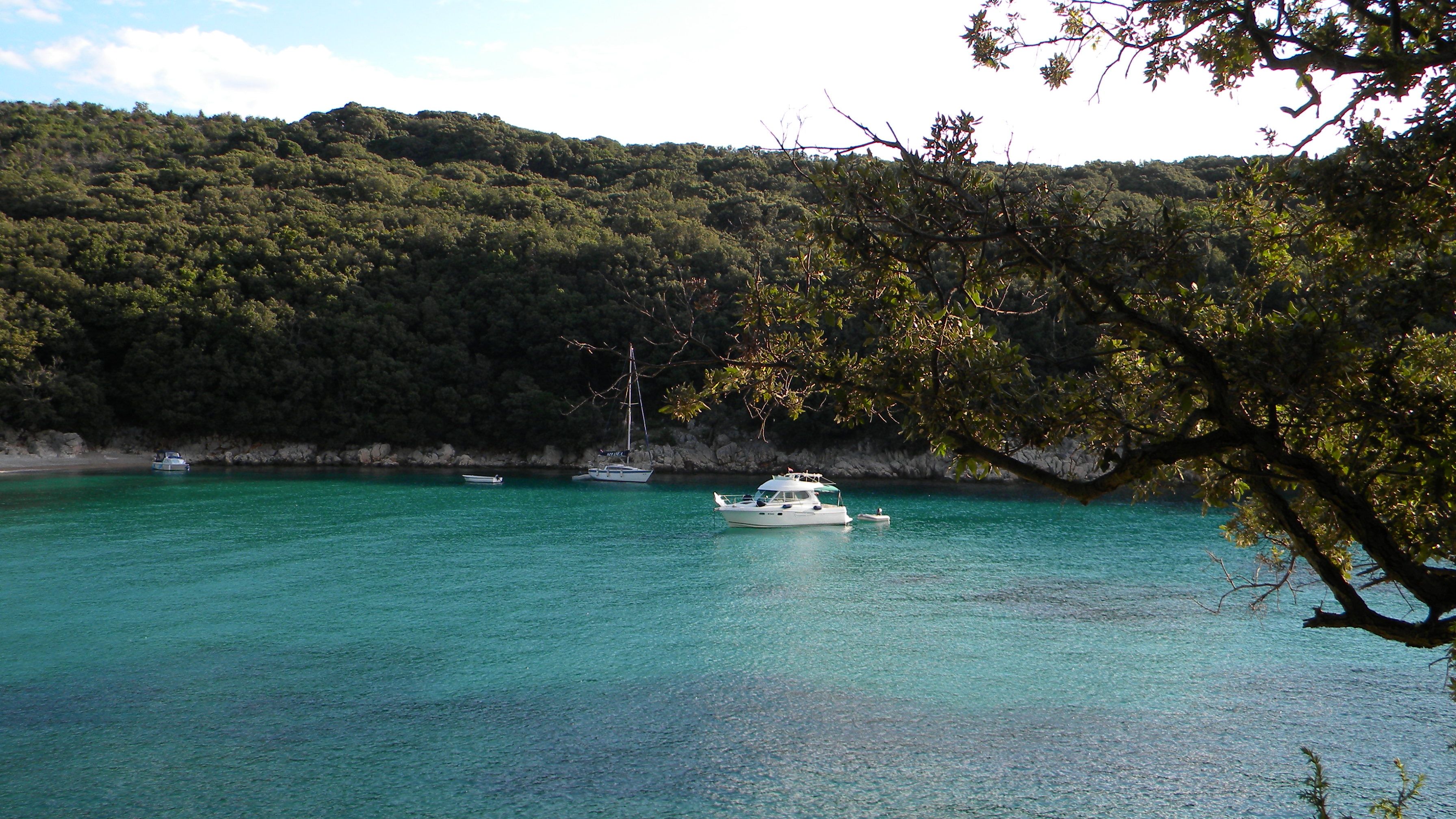 otok cres poljoprivredno zemljište u blizini mora, 200m2, 7000eur - slika 5
