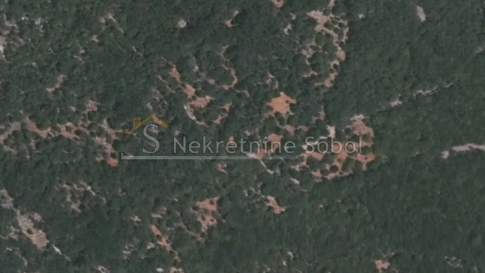 nerezine, otok lošinj - šuma, 10840 m2 prodaja - slika 2