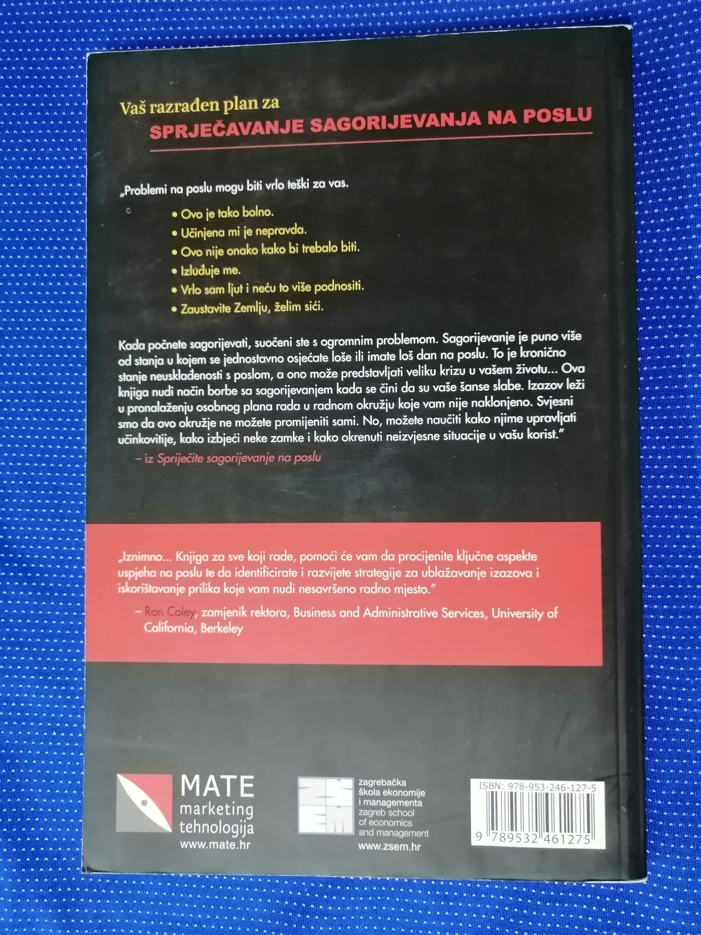 michael p. leiter – spriječite sagorijevanje na poslu - slika 5