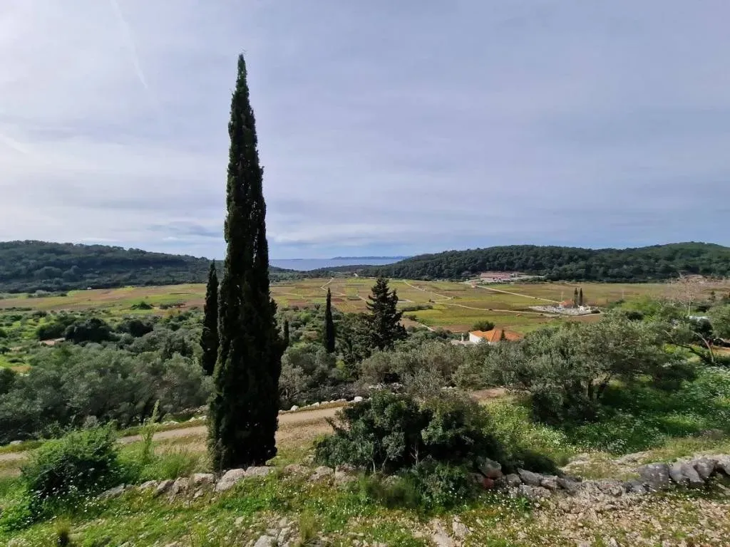 građevinsko zemljište na prodaju - korčula - slika 11