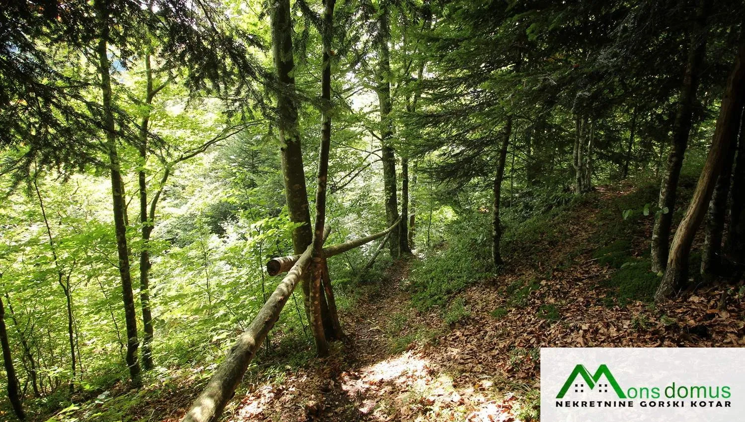 skrivena u šumi iznad lokvarskog jezera - slika 6