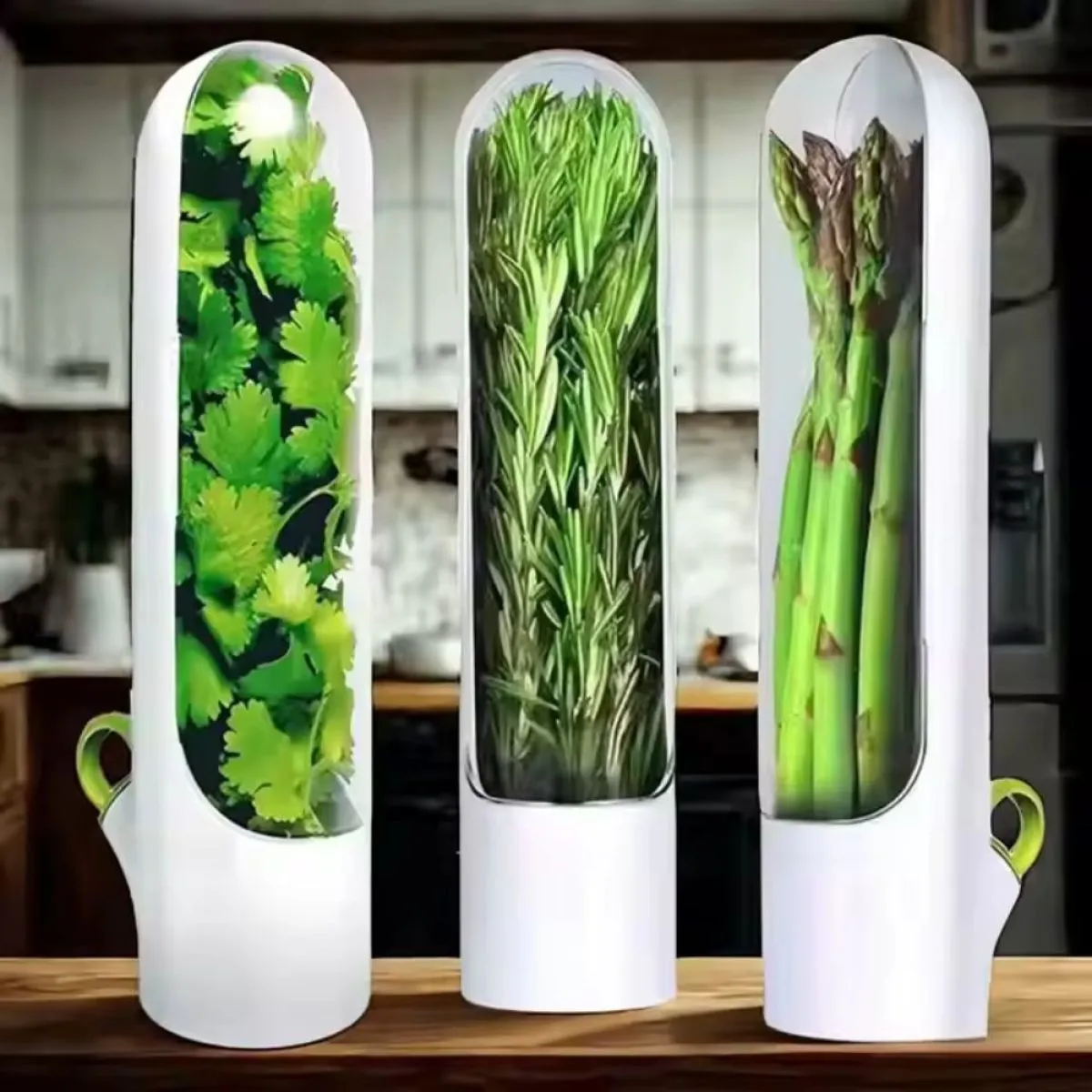 spremnik za čuvanje bilja - herbary - slika 2