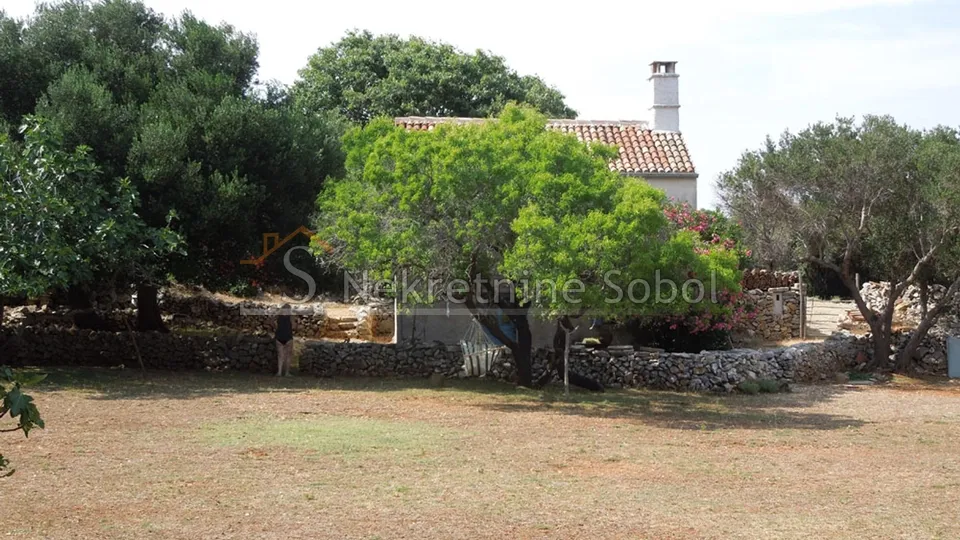 punta križa, otok cres - zemljište, 76133 m2 prodaja - slika 11