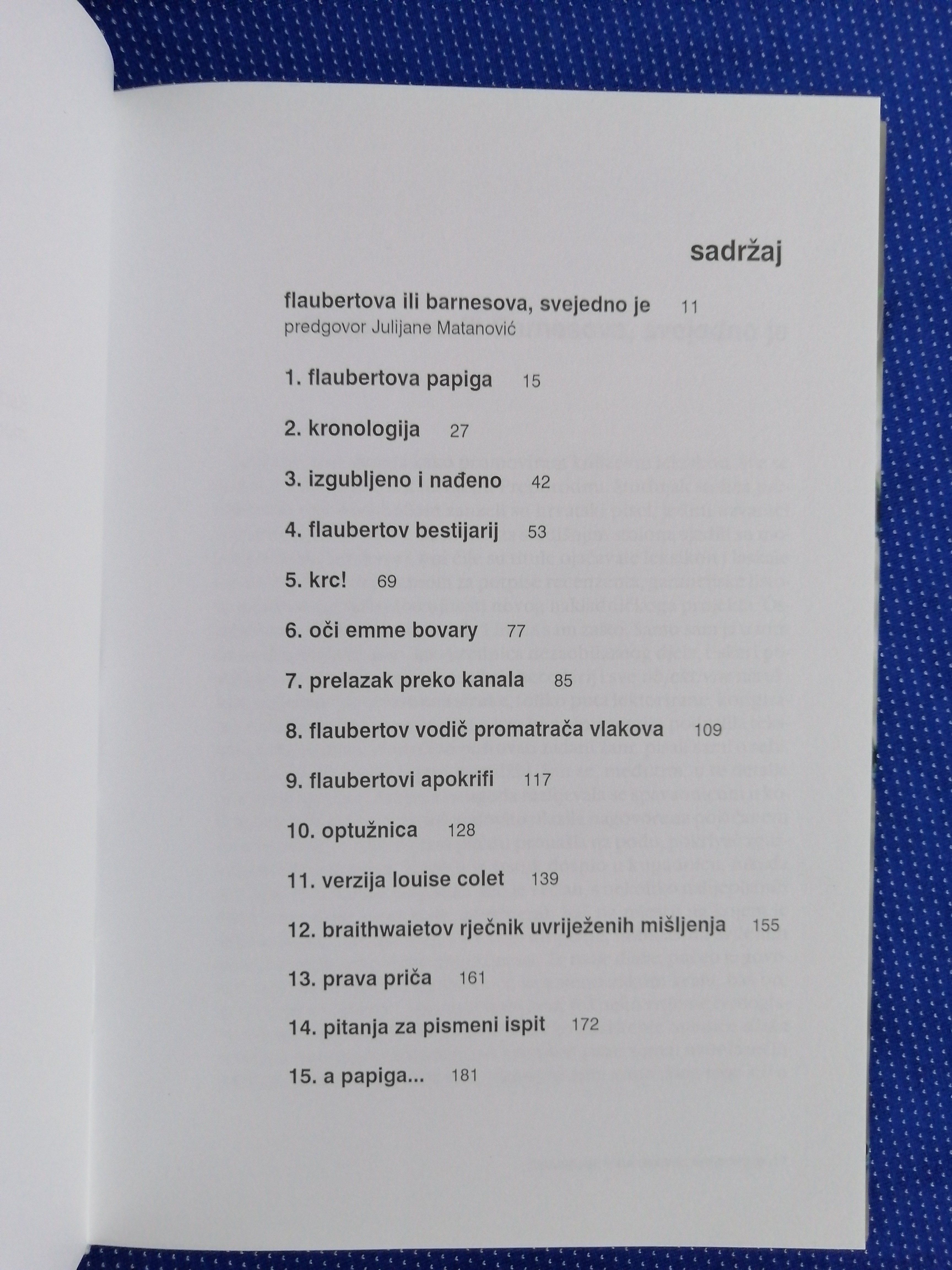 julian barnes – flaubertova papiga - slika 4