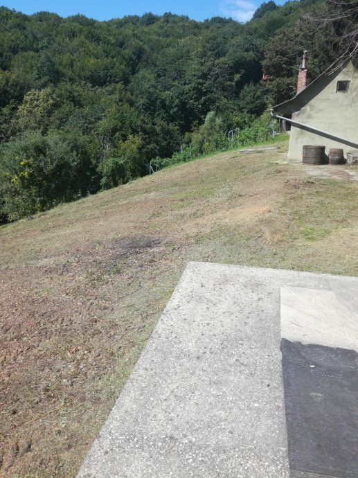 malčiranje i čišćenje zaraslih površina i terena 095/333-4444 - slika 13