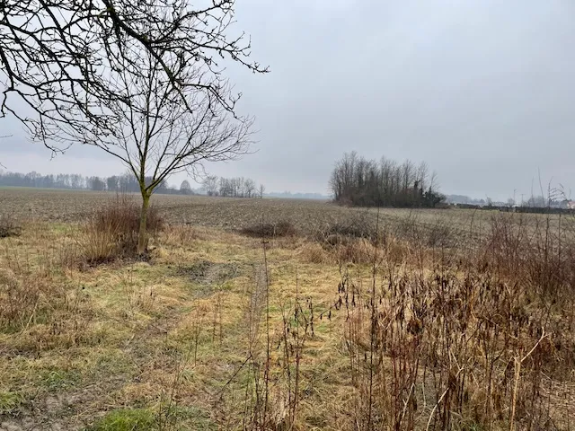 žlebina, kuća 88 m2 sa okućnicom i oranicom - slika 11