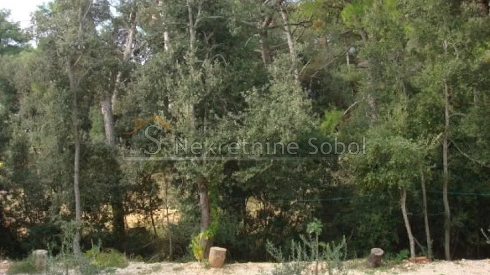 mali lošinj - kuća, 321 m2 prodaja - slika 13