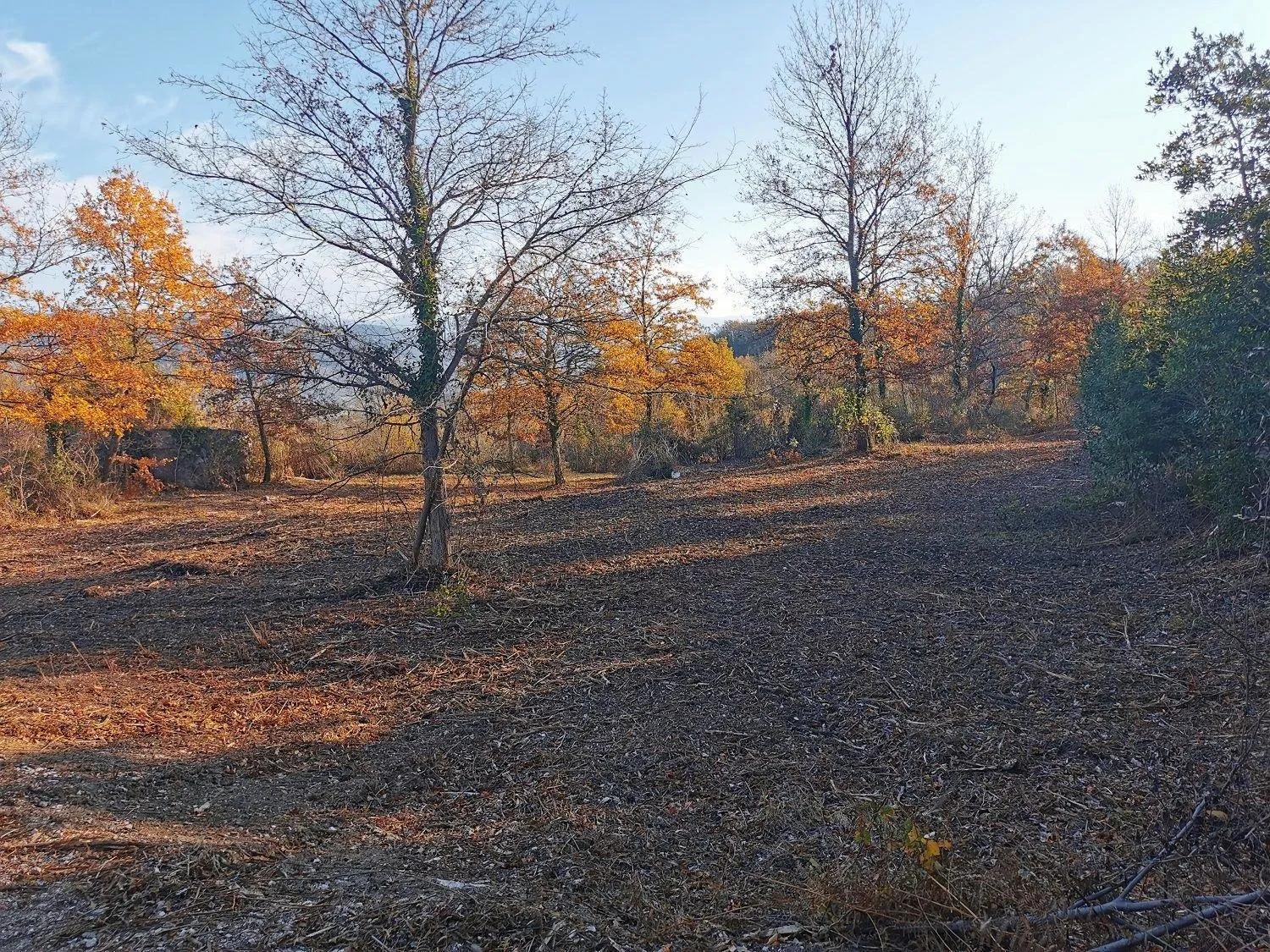 vižinada- građevinsko zemljište na osami - slika 4