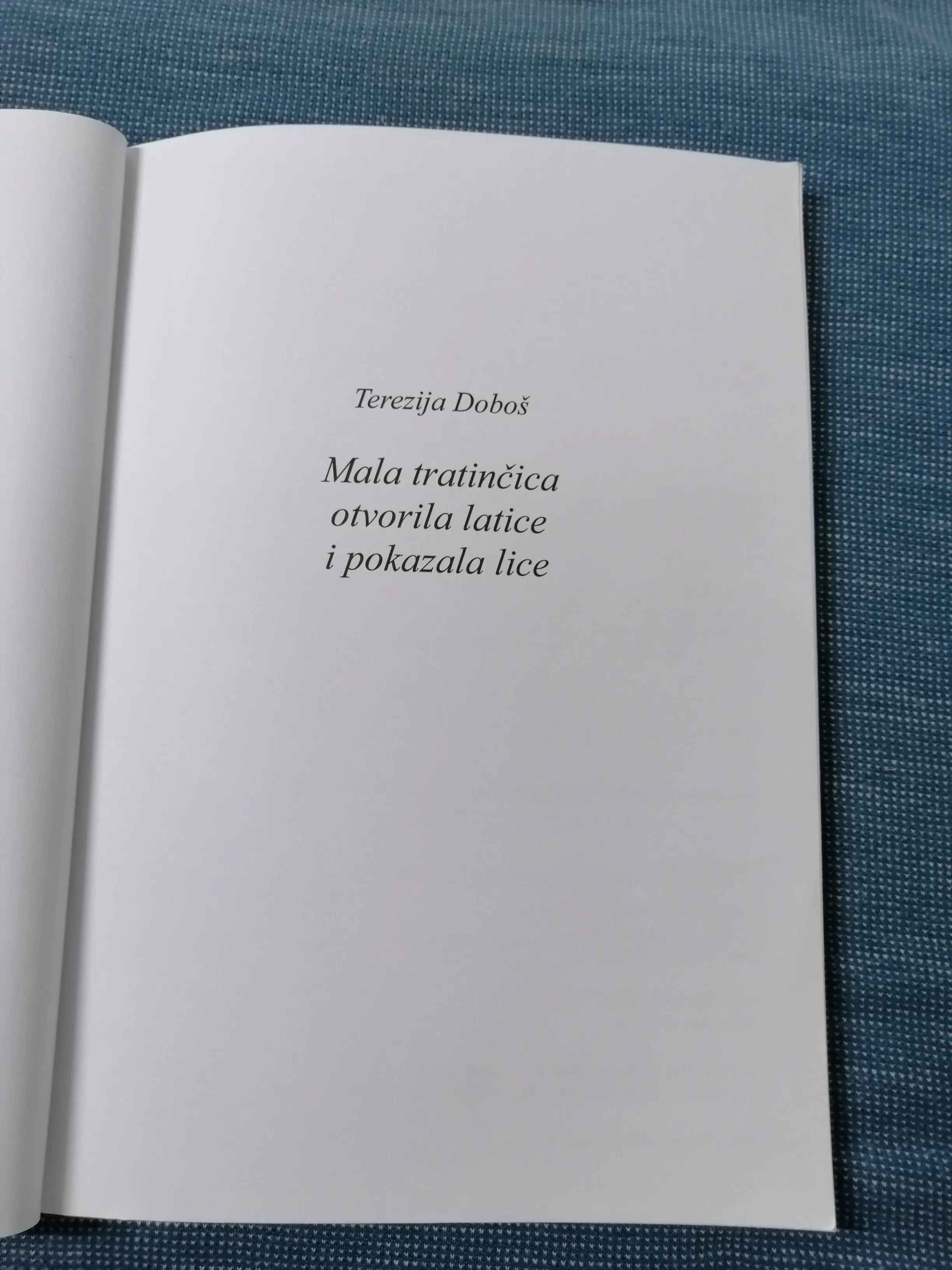 terezija doboš – mala tratinčica otvorila latice i pokazala lice - slika 2