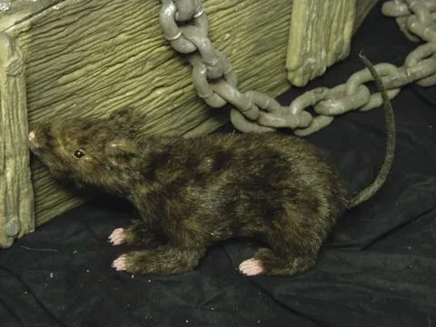 europalms rat, lifelike with coat - slika 2