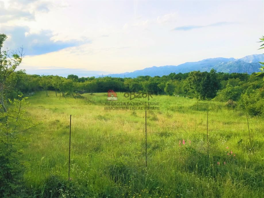vinjerac - građevinsko zemljište 3322 m2 - slika 2