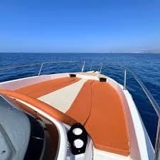 karnic 7,95 m (sl742) - sundeck, model 2026 - slika 4