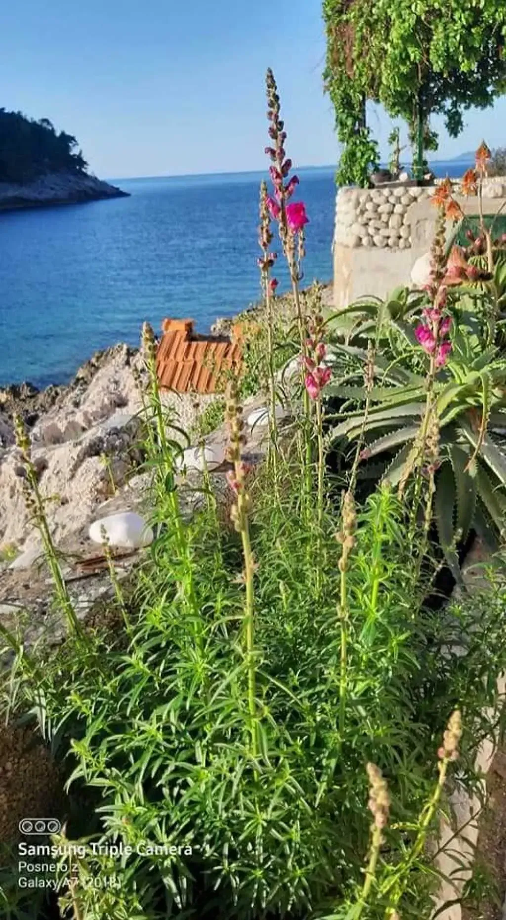 robinzonski turizam šime - slika 22