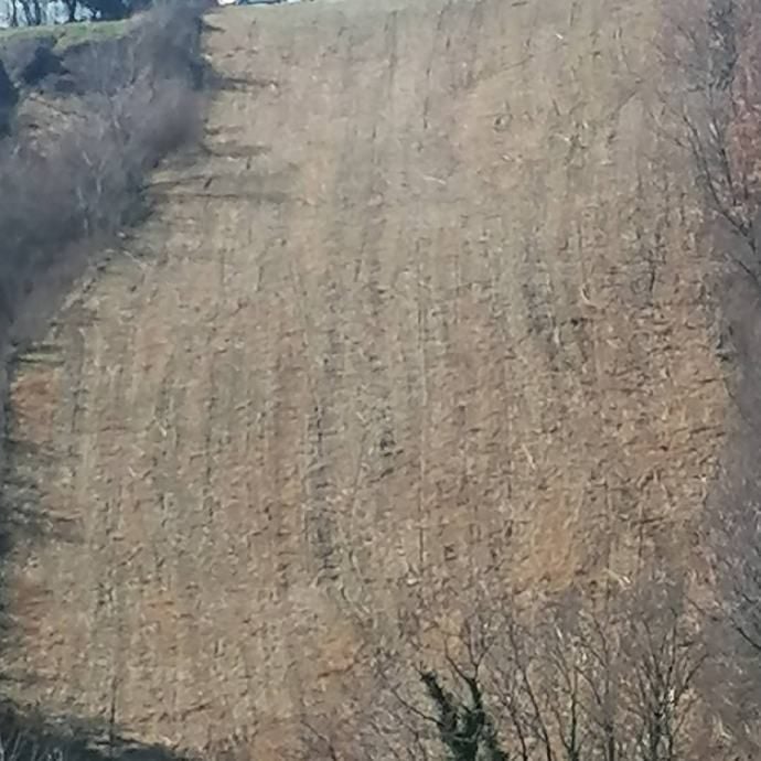 krčenje i malčiranje zaraslih površina zagreb - slika 13