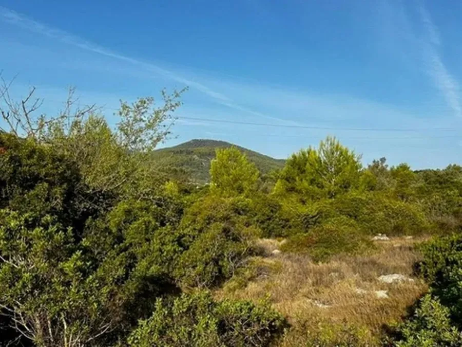 poljoprivredno zemljište na prodaju - vela luka - slika 8