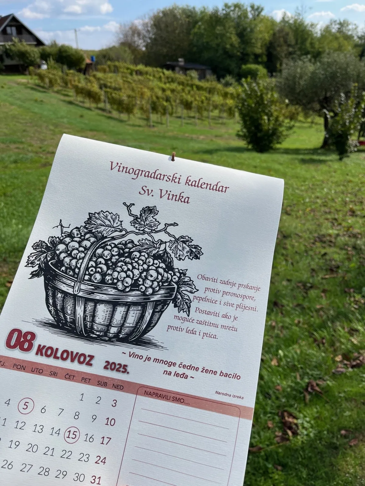 zidni vinogradarski kalendar sv. vinka - slika 10