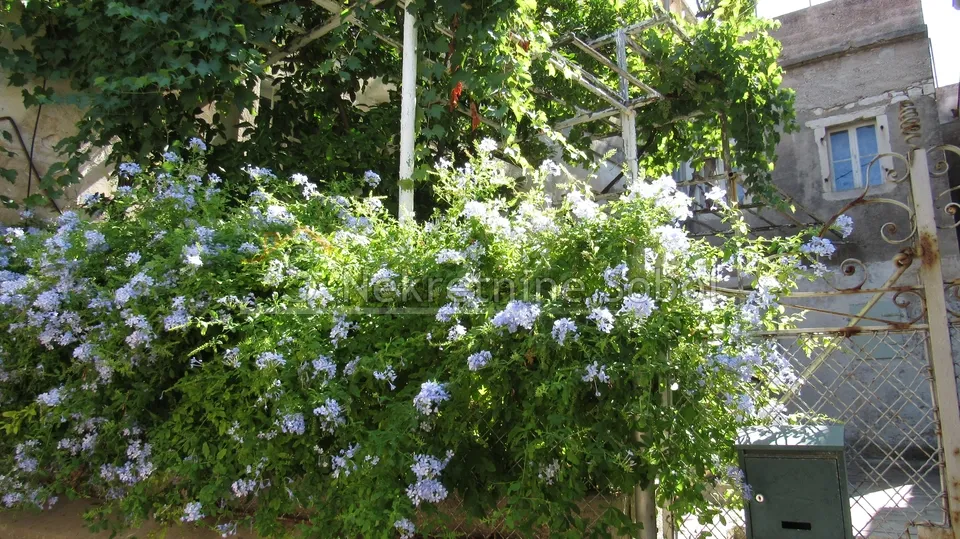 mali lošinj - kuća, 360 m2 prodaja - slika 7