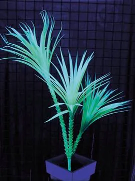 europalms yucca palm tree, uv-green, 90cm - slika 4