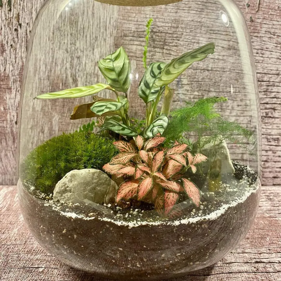 tegla za terarij-led fi24/25cm - slika 3