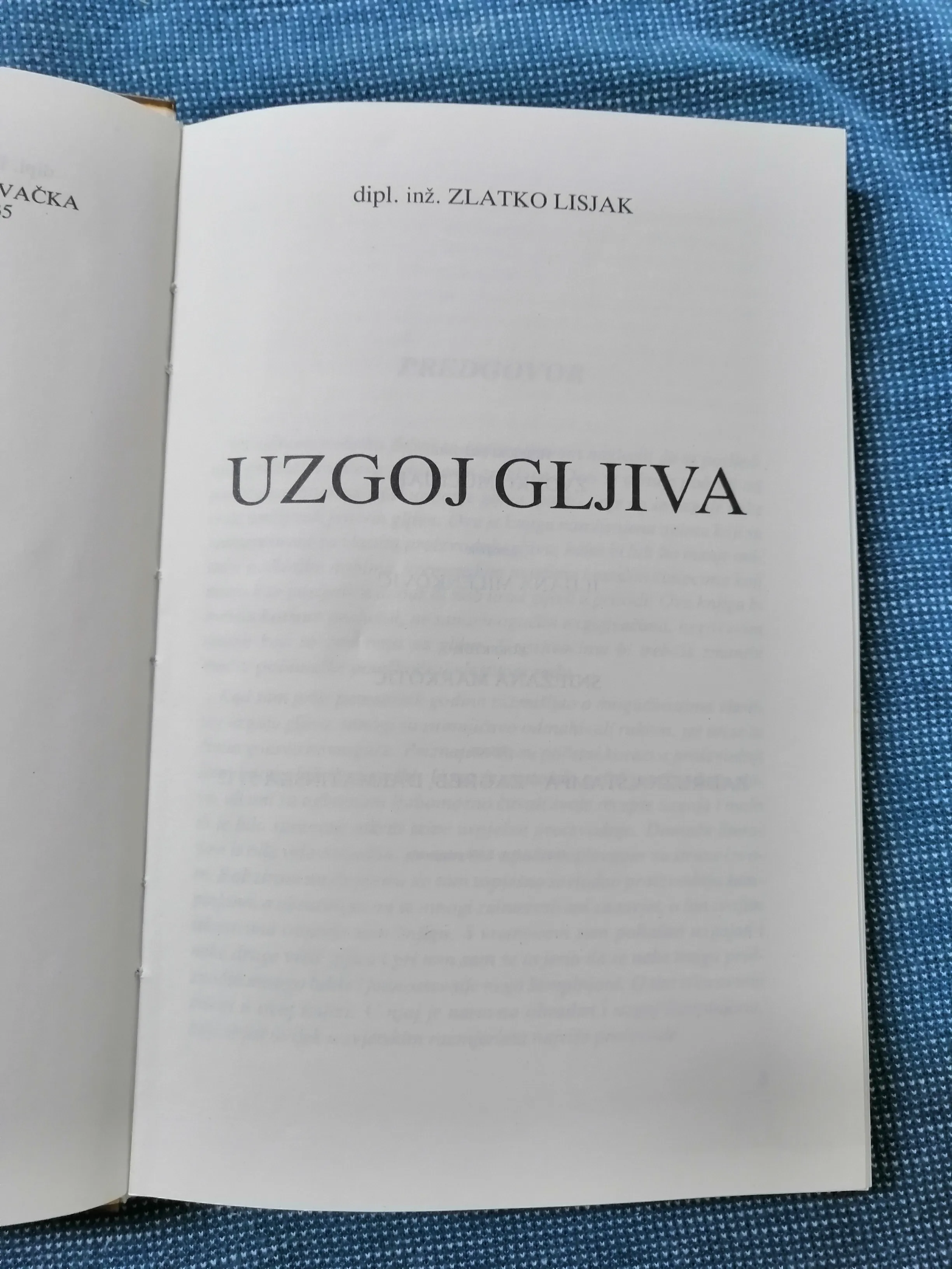 zlatko lisjak – uzgoj gljiva - slika 2