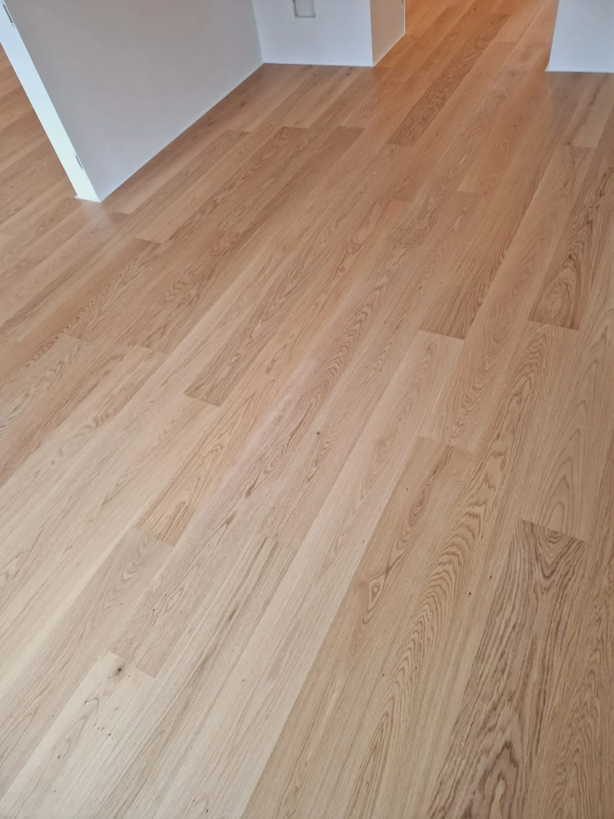 hrast natur 5% bijeli lak - slika 4