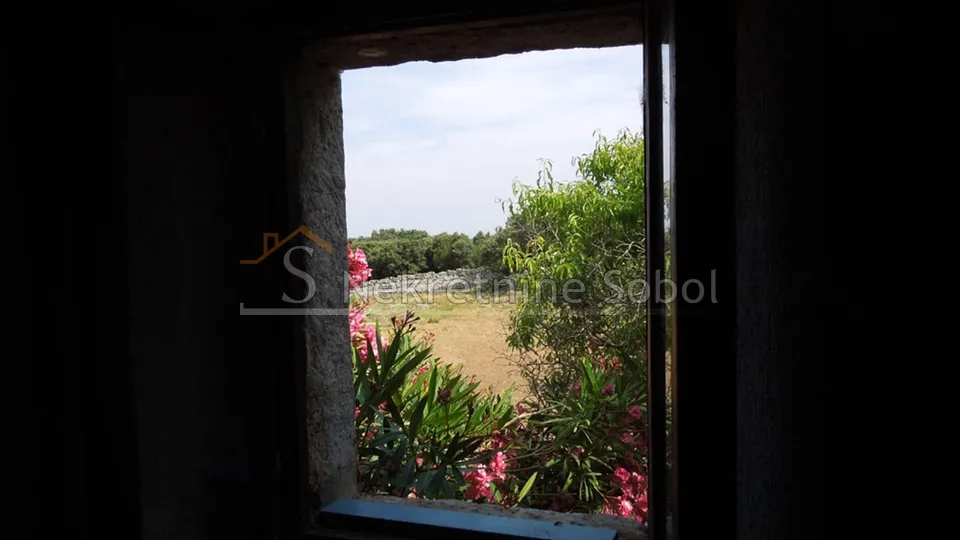 punta križa, otok cres - zemljište, 76133 m2 prodaja - slika 14
