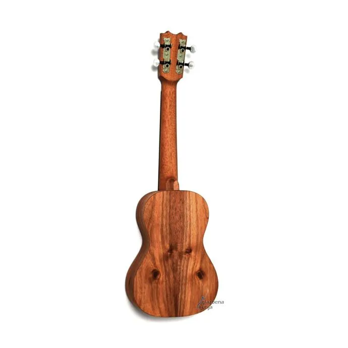 apc cs concerto ukulele - slika 2