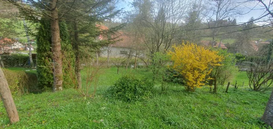 poljana sutlanska, drv. kućica i započ.gradnja kuće na imanju 11600m2 - slika 25
