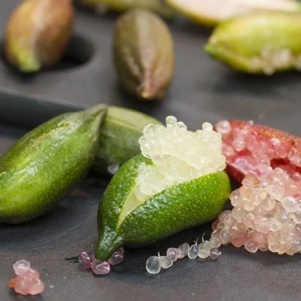 Finger limeta, 100 g - Donja Bistra, Bistra